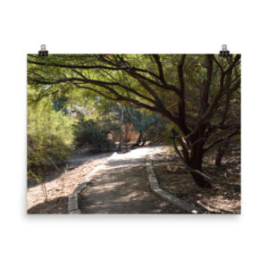 Desert path - Poster (unframed)